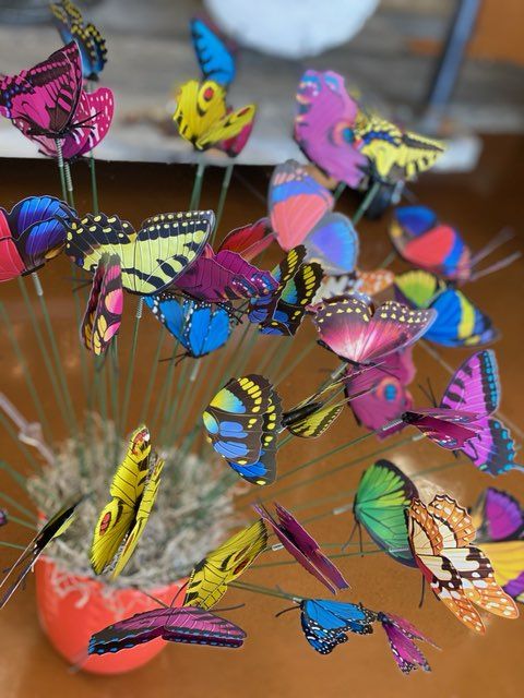 Butterflies